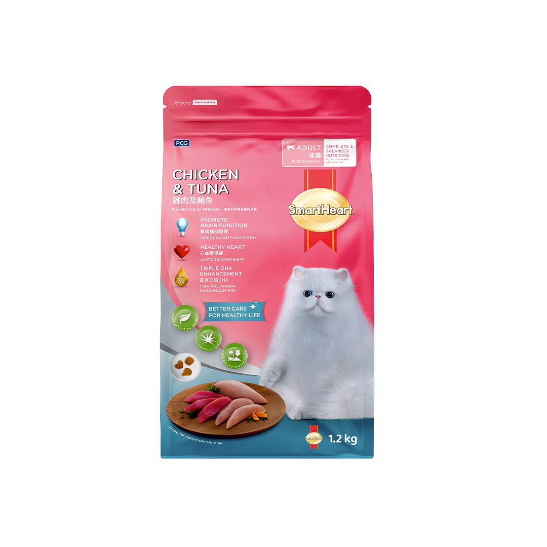 Cat Food